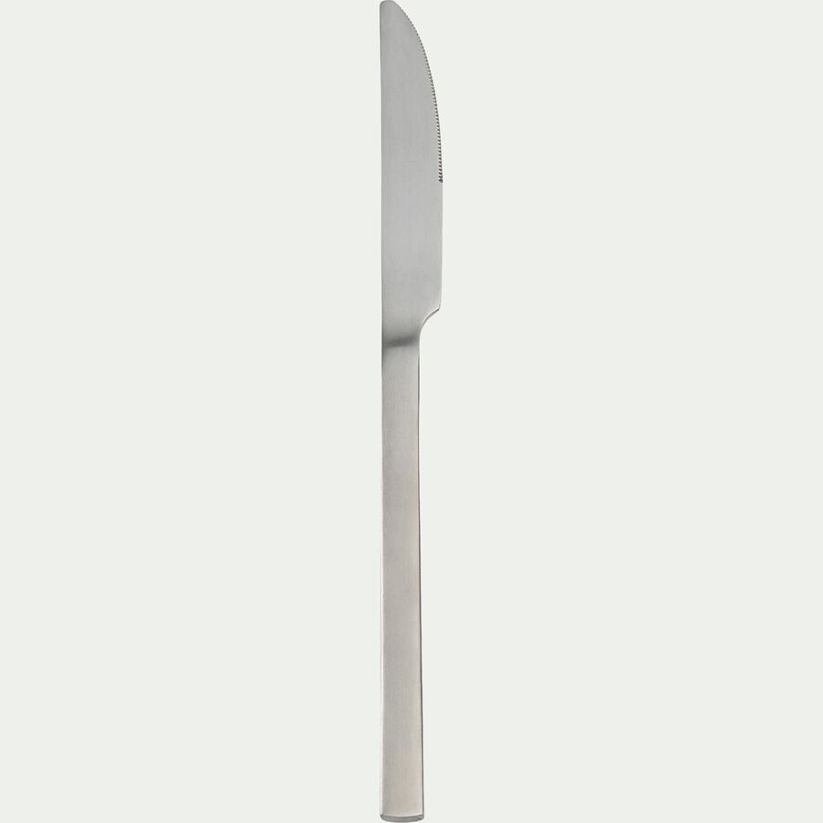 Couteau de table en inox finition satinée - argenté-GRESSIN