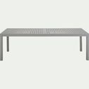 Table de jardin extensible en aluminium - gris vésuve (10 à 12 places)-JACO