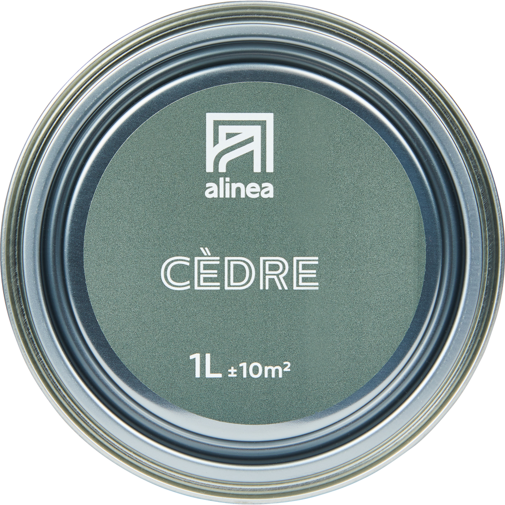 Peinture acrylique mate multi-supports 1L vert cèdre ...
