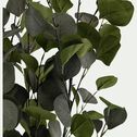 Eucalyptus artificiel en pot H120cm - vert-BERILLO