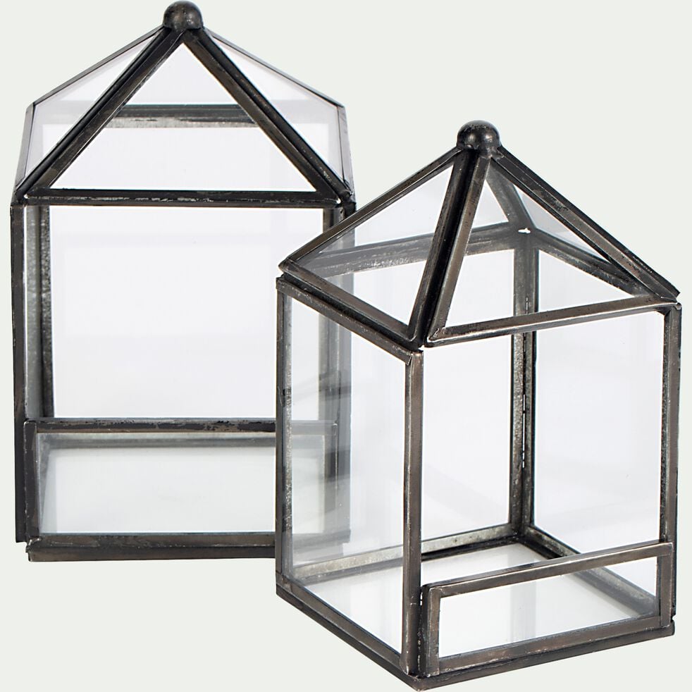 Terrarium en verre L8xl8xH13cm - transparent-SUCLE