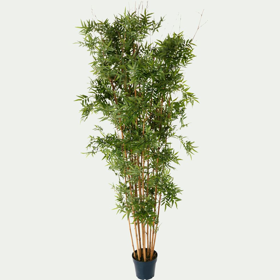 Plante Artificielle Bambou Vert H180cm Bambou Plante Artificielle Alinea Plante Artificielle Bambou Vert H180cm Bambou Plante Artificielle Alinea