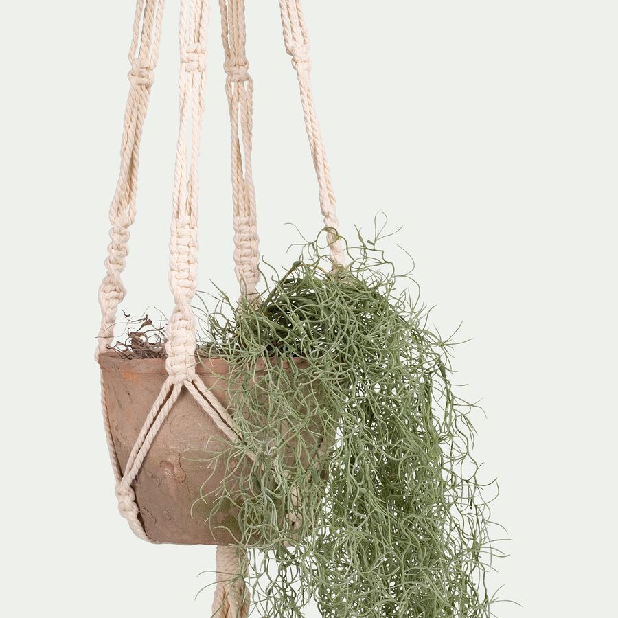 Plante tillandsia artificielle tombante avec pot suspendu H130cm - vert-BERILLO