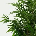 Plante artificielle décorative bambou - vert H155cm-PAULOUN