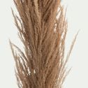 Herbe de pampa séchée - naturel H160 cm-PETRINJA