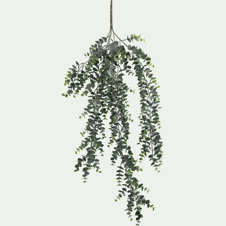Branche tombante d'eucalyptus artificielle L75cm - vert-BERILLO