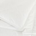 Couette chaude en duvet de canard - 240x260cm blanc-NAEVA