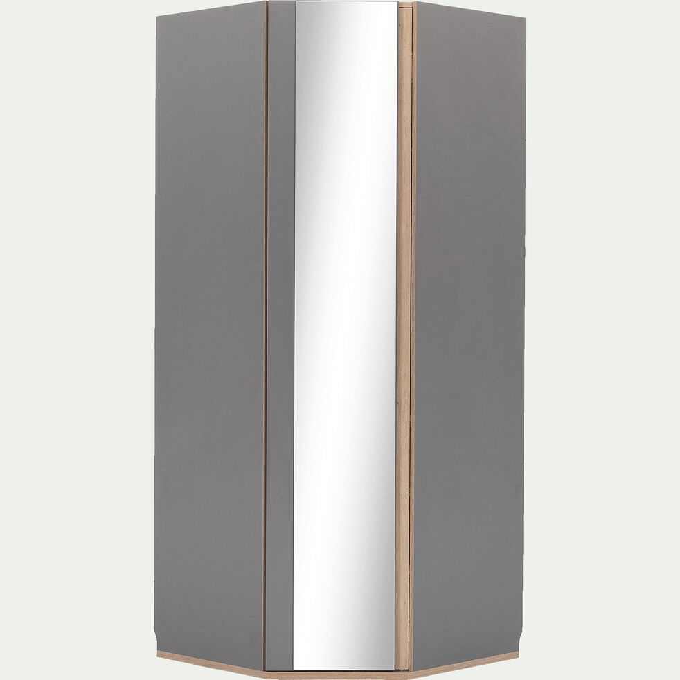 Armoire Dressing D Angle Avec 1 Porte Effet Chene Gris Nestor Dressing Alinea Armoire Dressing D Angle Avec 1 Porte Effet Chene Gris Nestor Dressing Alinea