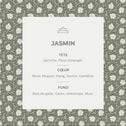 Bougie parfumée senteur Jasmin 160g-SIGNATURE