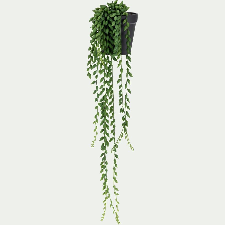 Succulente artificielle - vert H64cm-HAKARA