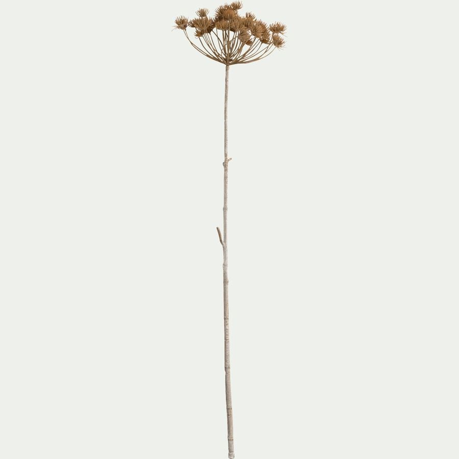 Branche d'heracleum artificielle h125cm - marron-BERILLO