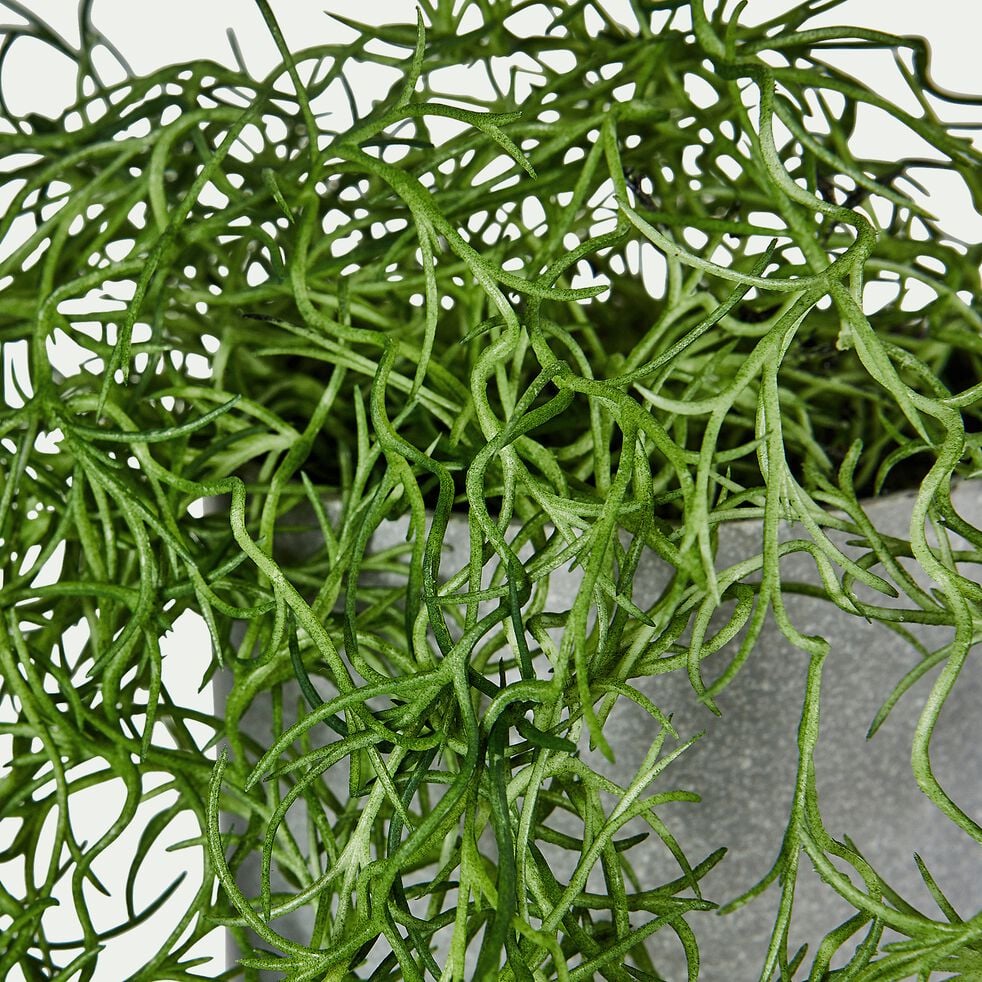 Plante tombante artificielle en pot - vert H81cm-PLANTE TOMBANTE