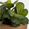 Plante artificielle succulente H13cm-PEIROLO