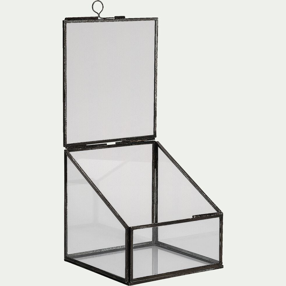 Terrarium en verre L15xl15xH15cm - transparent-DORIAN
