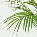 Palmier artificiel H75cm - vert-BERILLO
