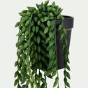 Succulente artificielle - vert H64cm-HAKARA