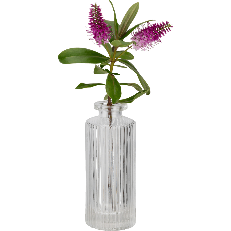 Vase en verre transparent H13cm Elasa vases alinea
