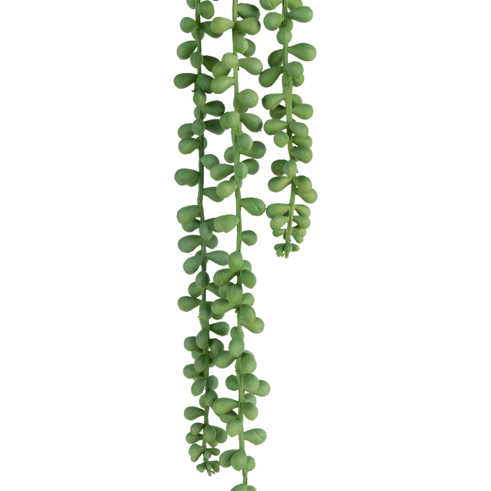 Plante tombante artificielle H78cm - SENECON - déco - alinea