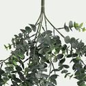 Branche tombante d'eucalyptus artificielle L75cm - vert-BERILLO