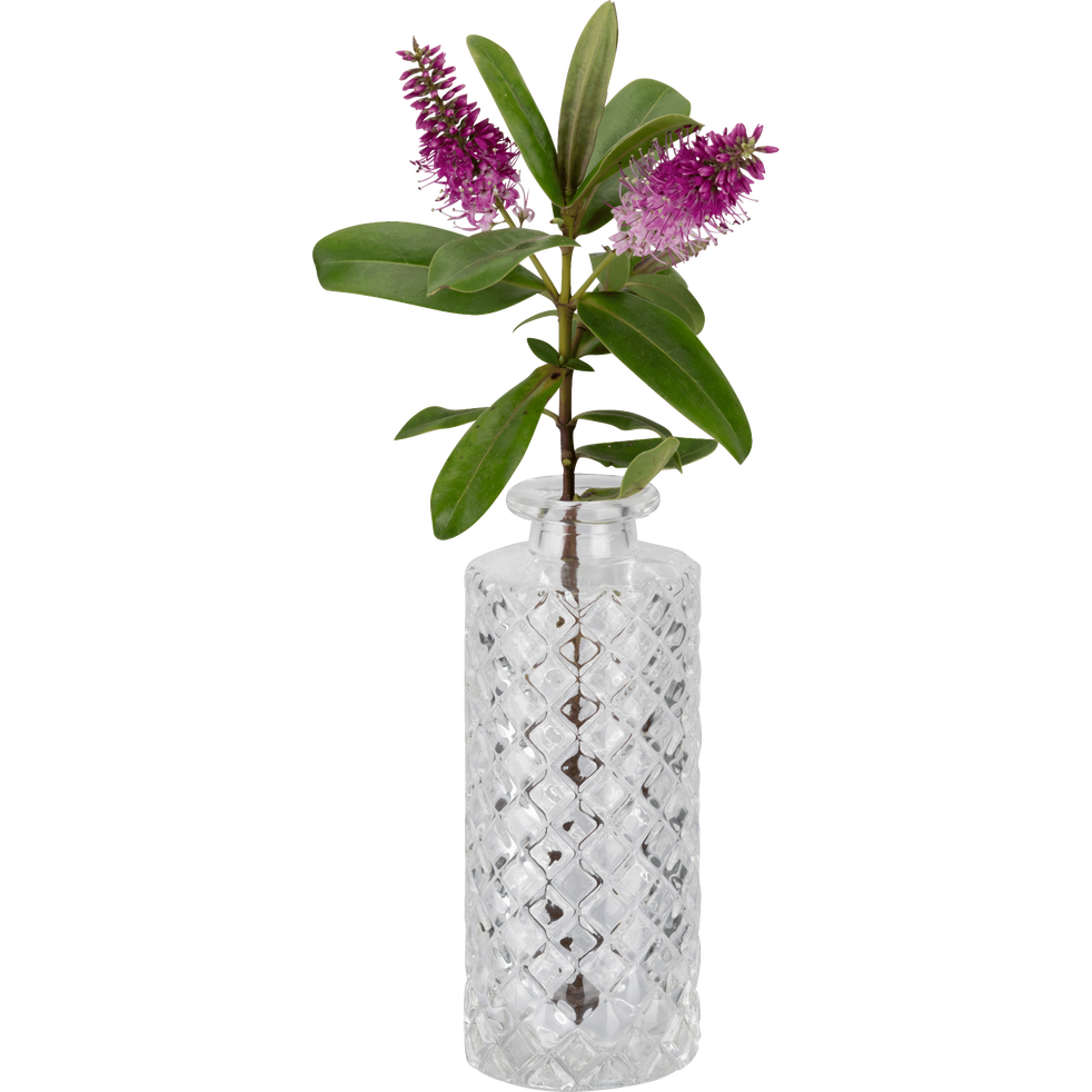 Vase en verre transparent H13cm Mochlos vases alinea