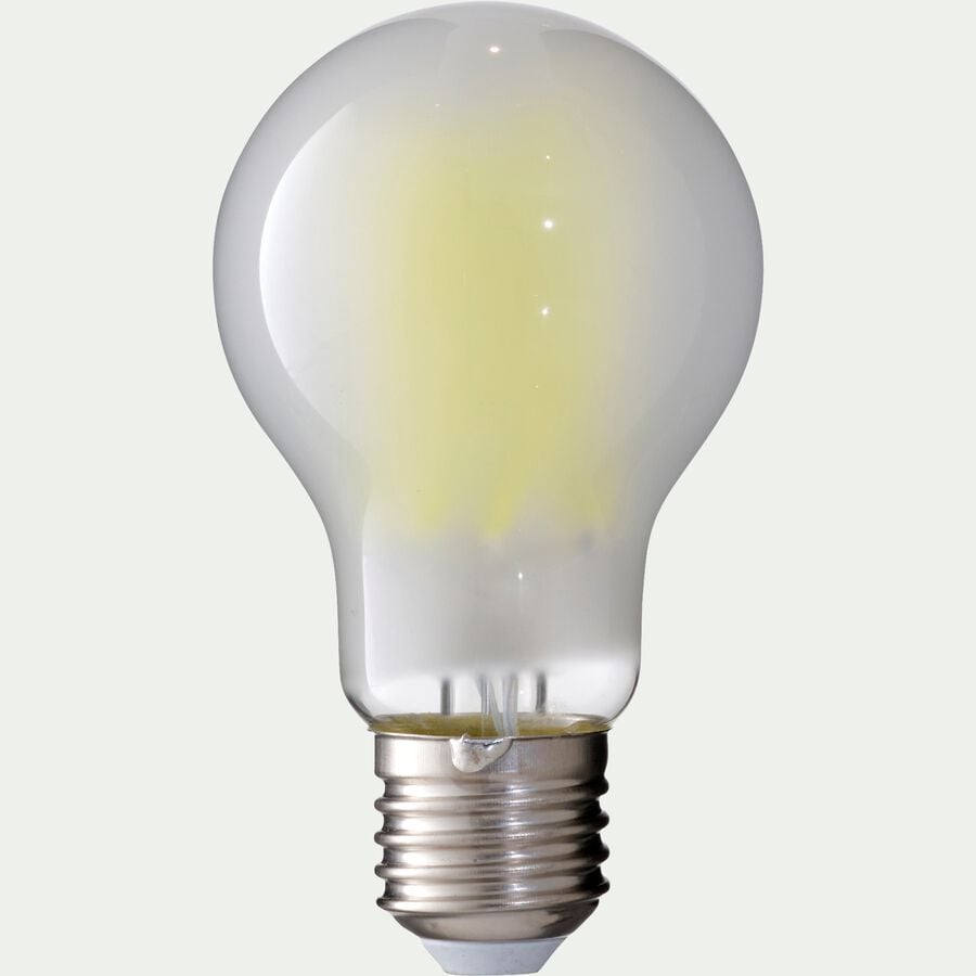Ampoule standard D6cm culot E27 - blanc-FILY
