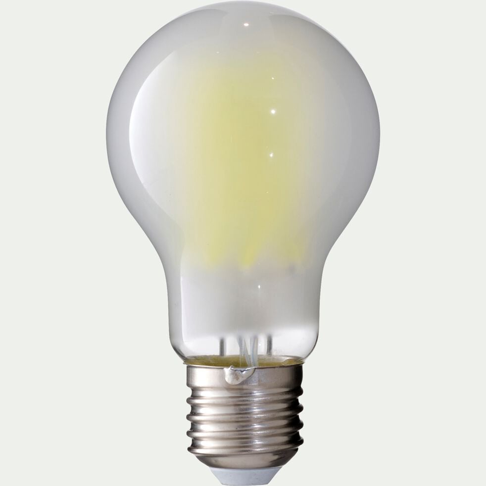 Ampoule standard D6cm culot E27 - blanc-FILY