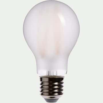 2 ampoules LED verre dépoli blanc chaud D6cm E27-CLASSIQUE