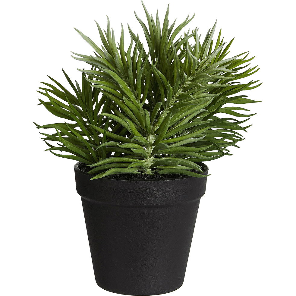 Plante grasse artificielle H23cm - EPINE POT - plantes ...