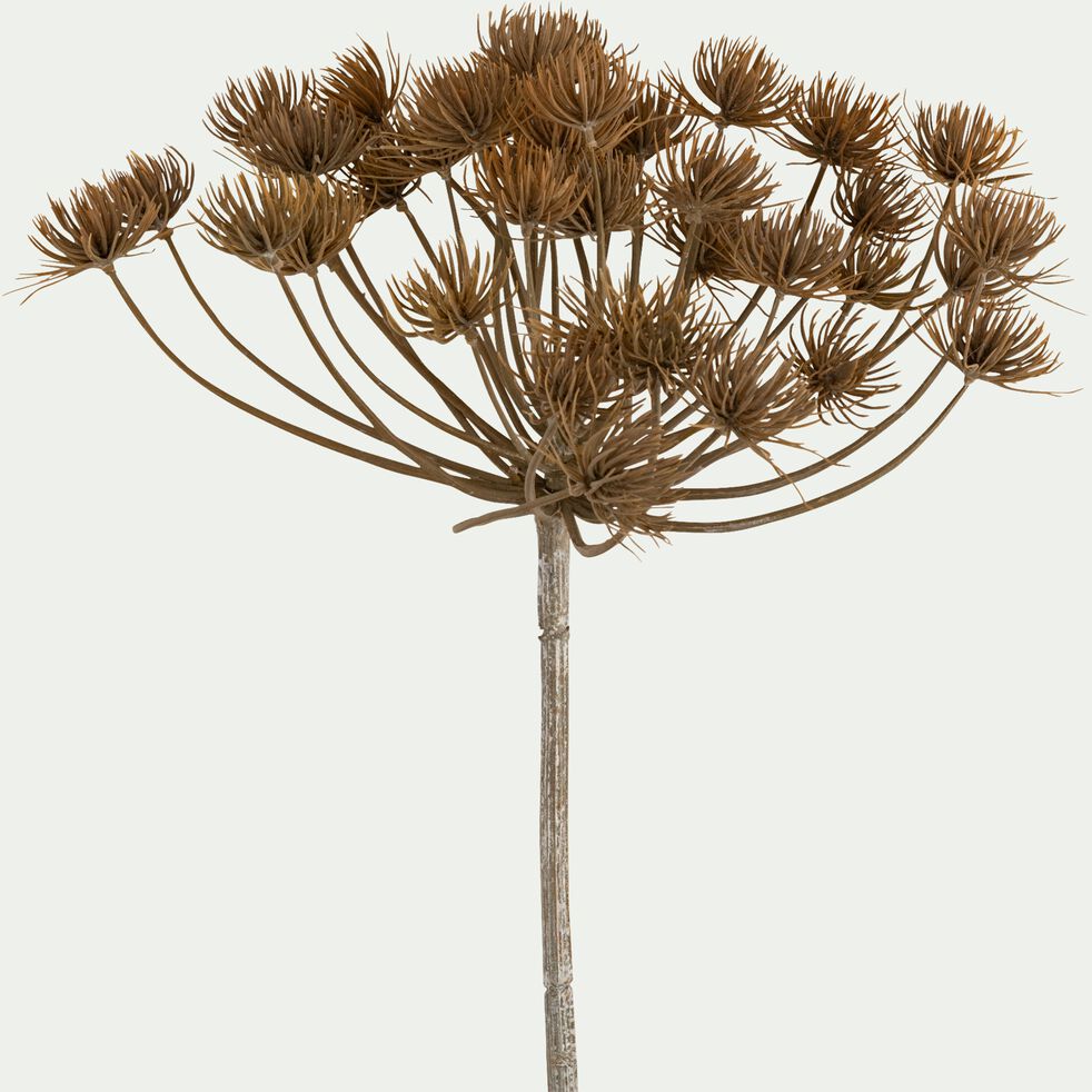 Branche d'heracleum artificielle h125cm - marron-BERILLO