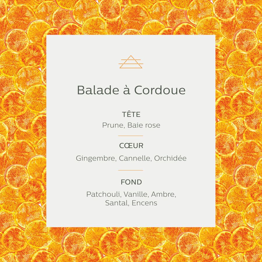 Diffuseur de parfum senteur Balade à Cordoue 150ml-BALADE