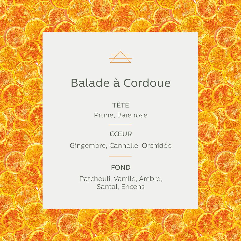 Diffuseur de parfum senteur Balade à Cordoue 150ml-BALADE