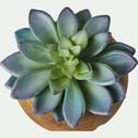 Succulente artificielle en pot - vert H10cm-SUCCULENTE