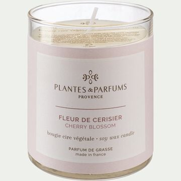 Bougie parfumée senteur Fleur de Cerisier 180g-MANON
