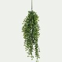 Plante crassula artificielle à suspendre - vert L79cm-ASSULA