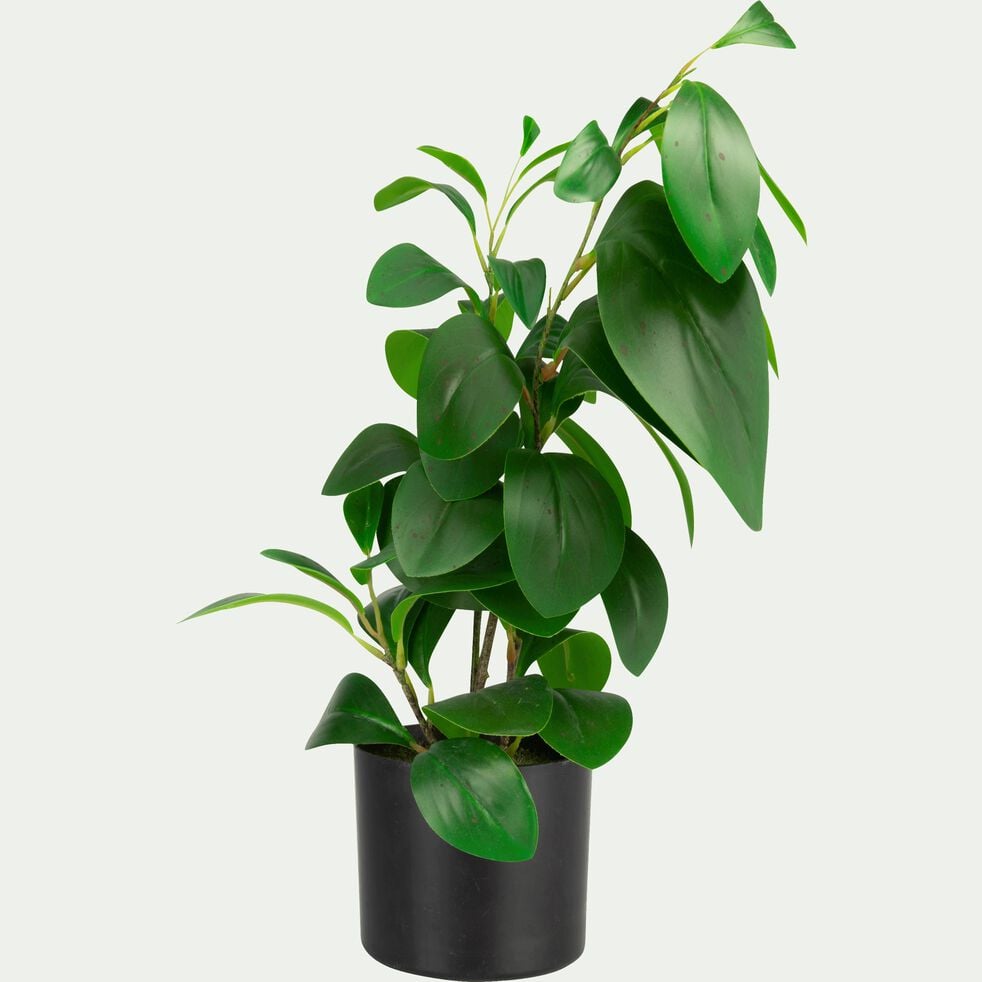 Plante artificielle ficus en pot - vert H46cm-BUISSON
