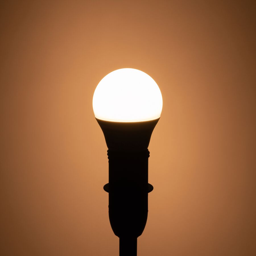 Ampoule LED dimmable  blanc chaud D4,5cm culot E14-SPHERE