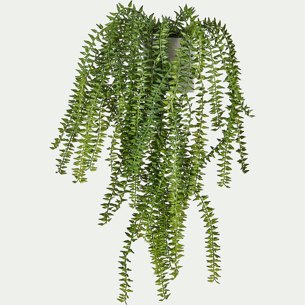 Plante tombante artificielle - vert H94cm-PLANTE GRASSE