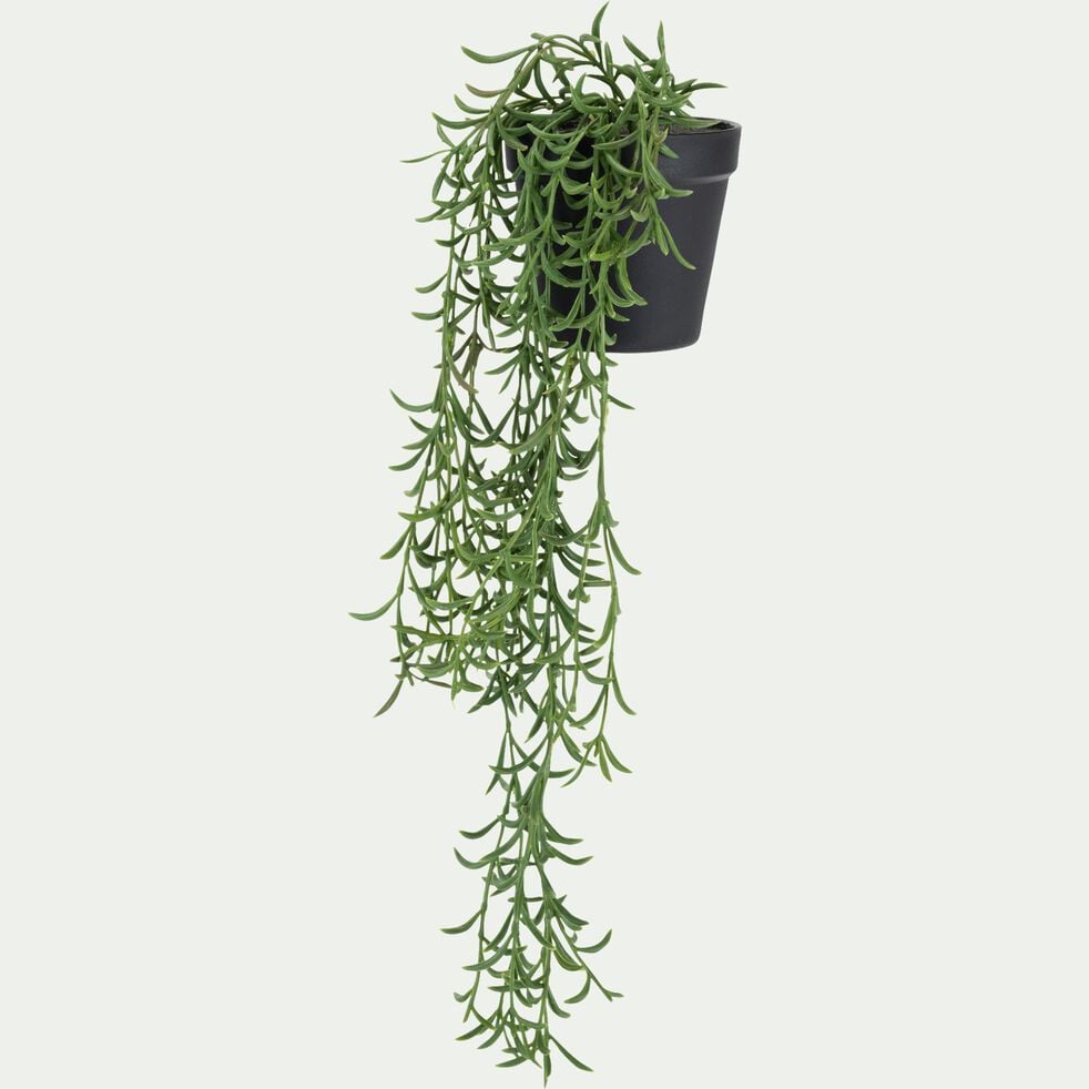 Succulente artificielle - vert  H51cm-VILUKA