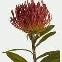 Fleur artificielle trèfle rouge H79cm-PROTEA