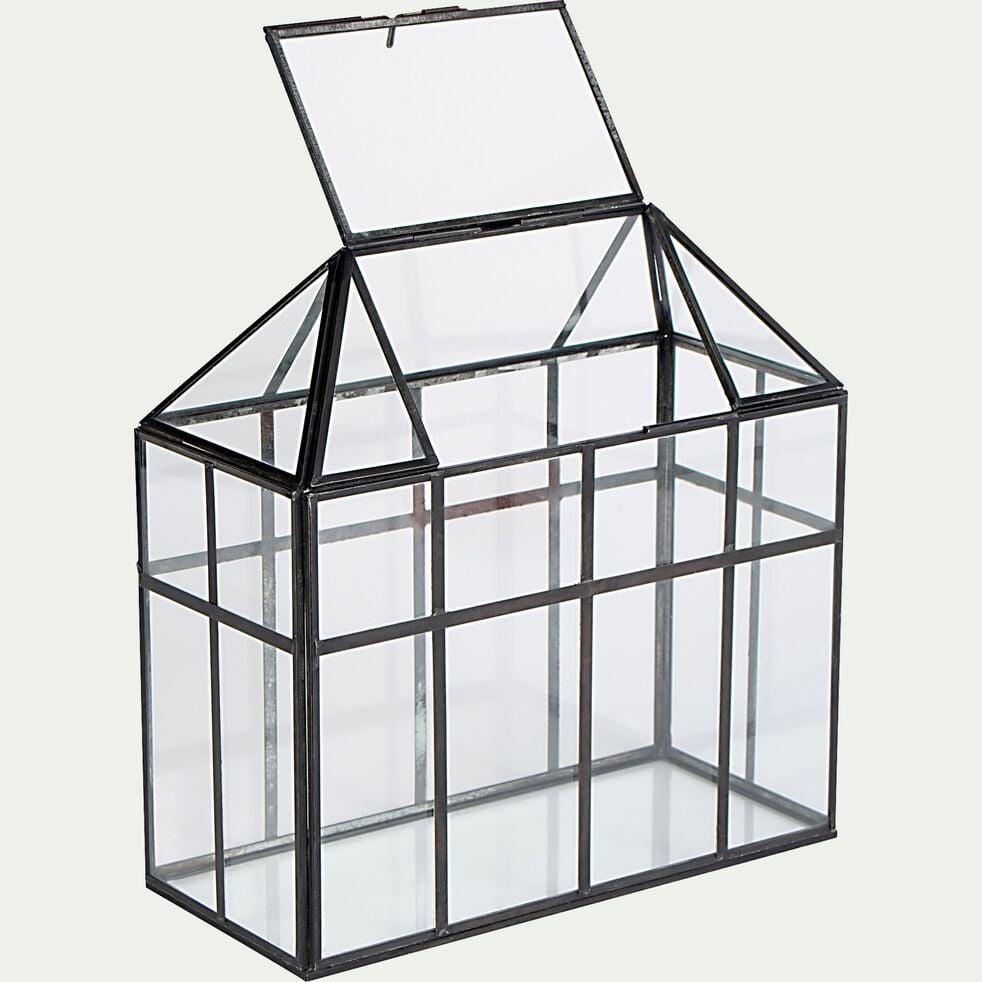 Terrarium en verre L28xl13xH28cm - transparent-DORIAN