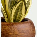 Succulente artificielle en pot - vert H14cm-SUCCULENTE