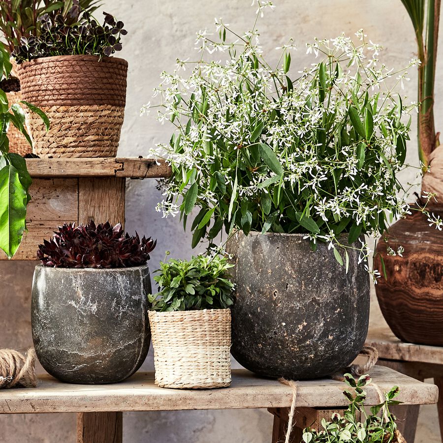 Pot de fleurs, jardinière, poterie décorative