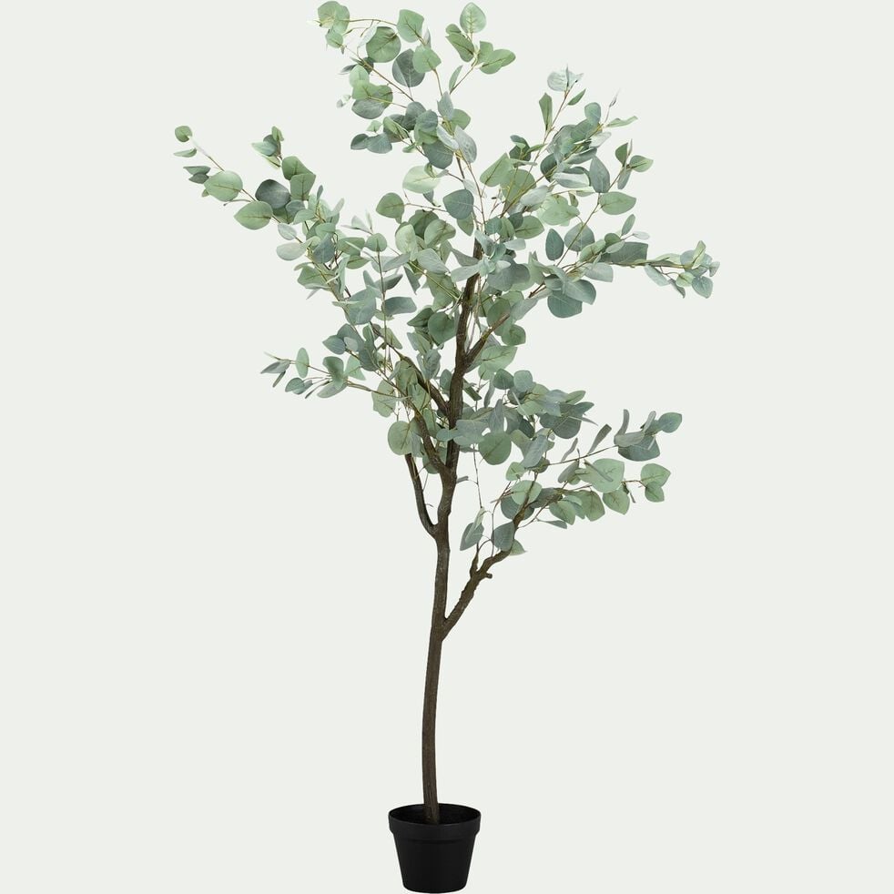 Plante artificielle eucalyptus H180cm-AIS