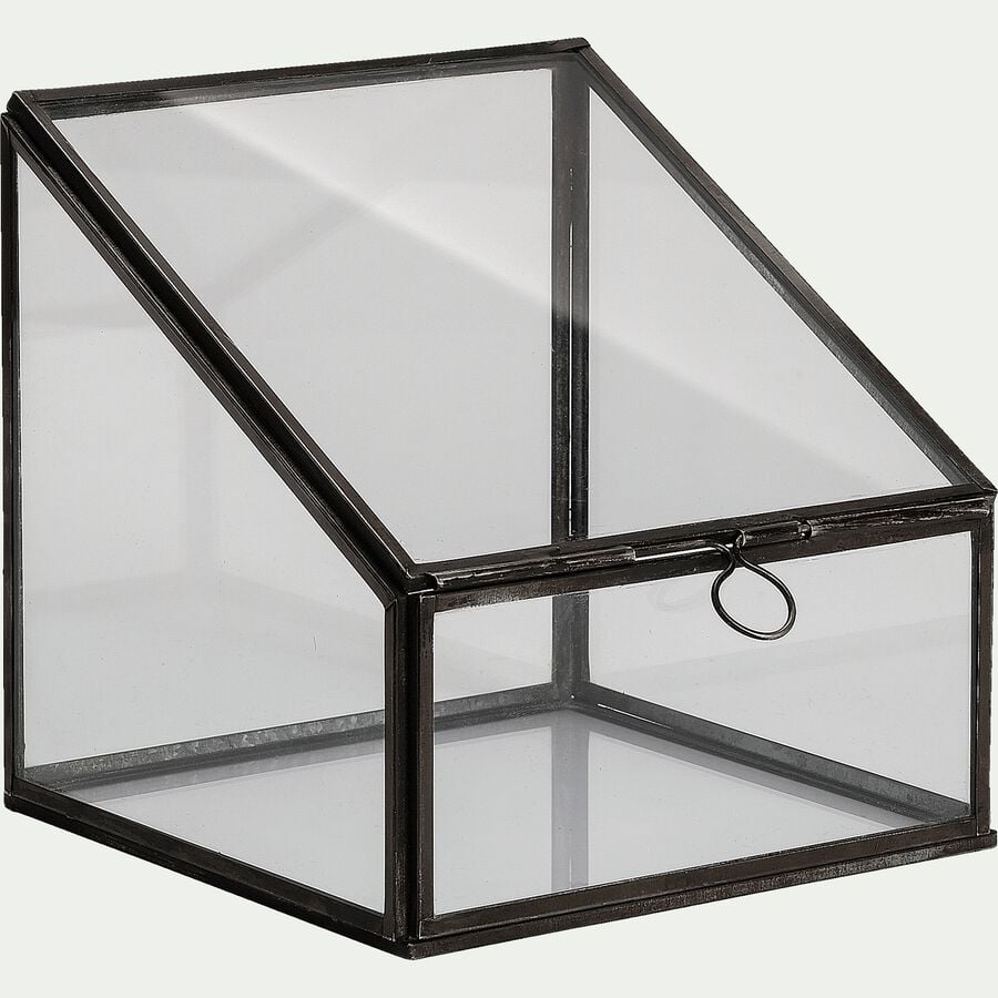 Terrarium en verre L15xl15xH15cm - transparent-DORIAN