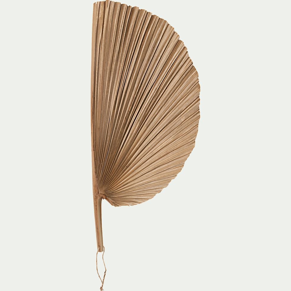 Feuille de palmier décorative en éventail - naturel 30x47cm-ALICANTE