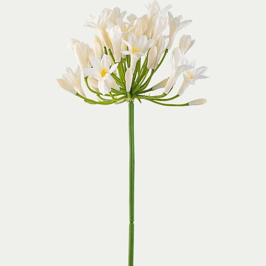 Fleur artificielle d'agapanthe - blanc H75cm-AGAPANTHE