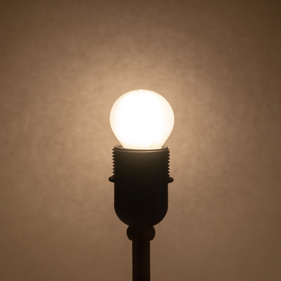 Lot de 2 ampoules LED sphère lumière chaude - E27 4,5W D6cm blanc-STANDARD