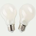 Lot de 2 ampoules LED standard lumière neutre - E27 10W D6cm blanc-STANDARD