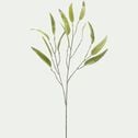 Branche d'eucalyptus - vert H95cm-HYRTACE