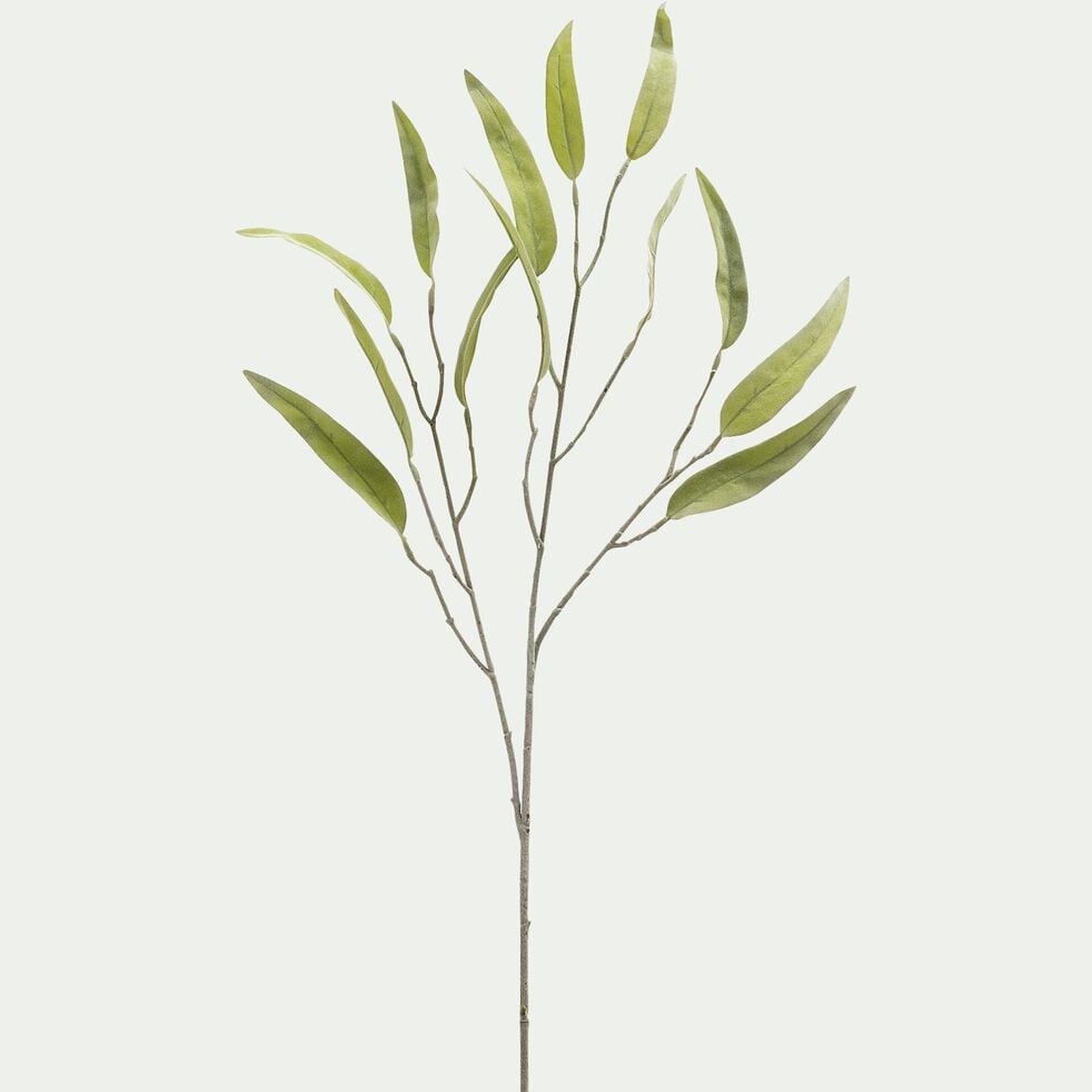 Branche d'eucalyptus - vert H95cm-HYRTACE